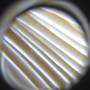 This is not a mushroom, this is modern architecture.