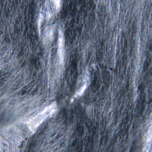 Second approach: Tests with metals - Pleurotus ostreatus mycelium on aluminium through microscope