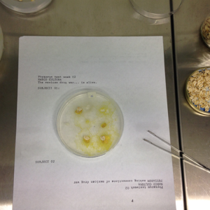 Tests of documentation and workspace