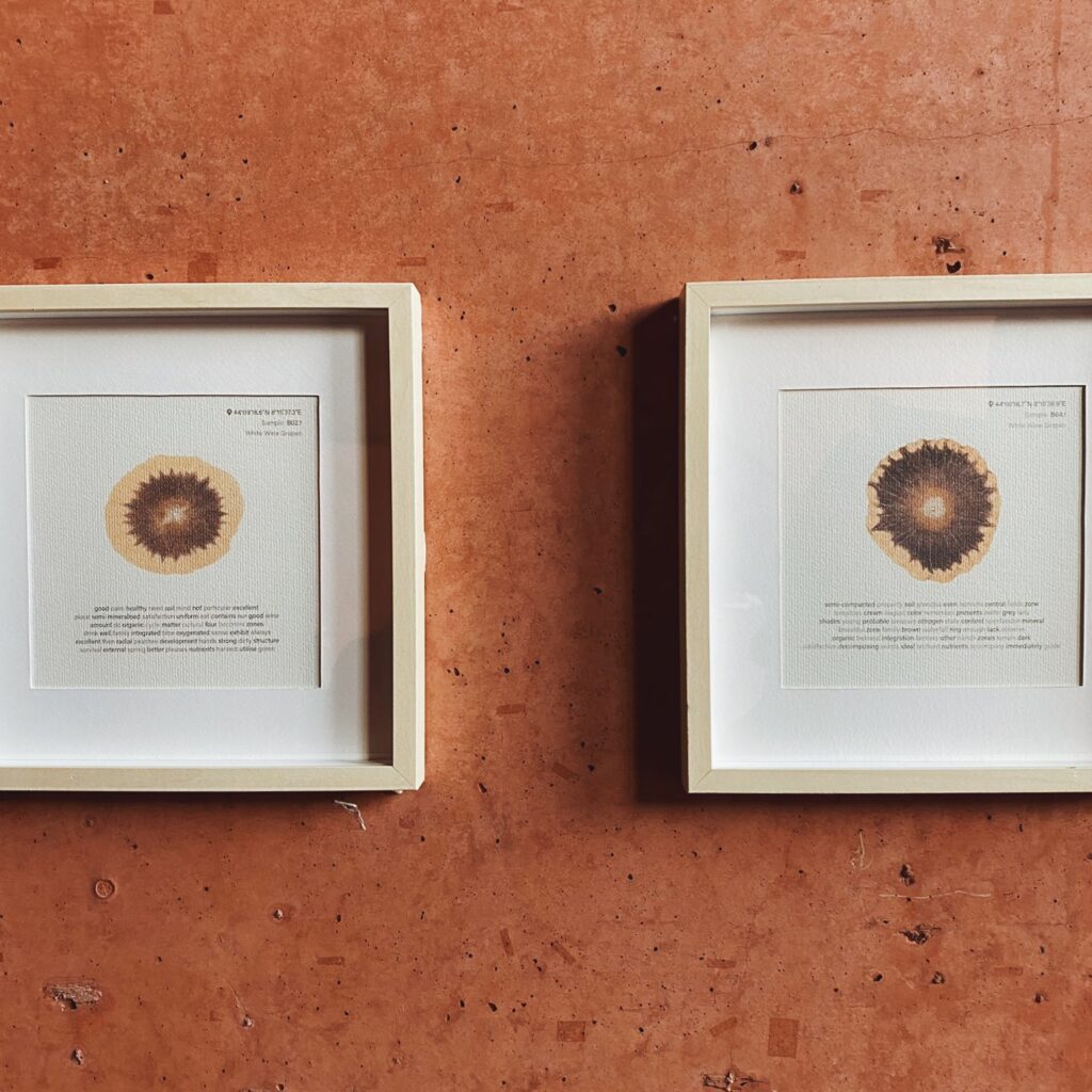 Tlalli • Coversations with Soil