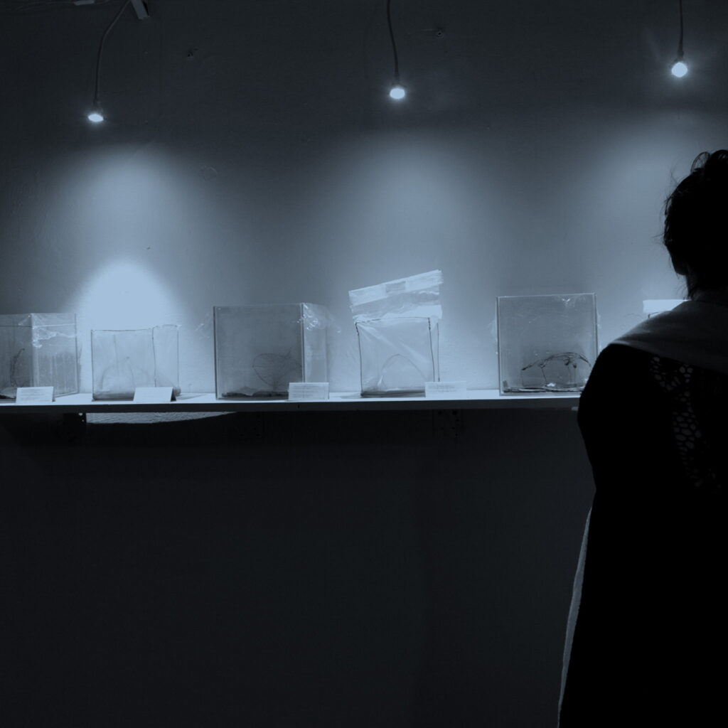 ByndelleHybrida_Blue