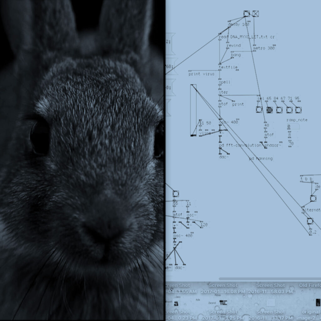 myxomatosis_blue
